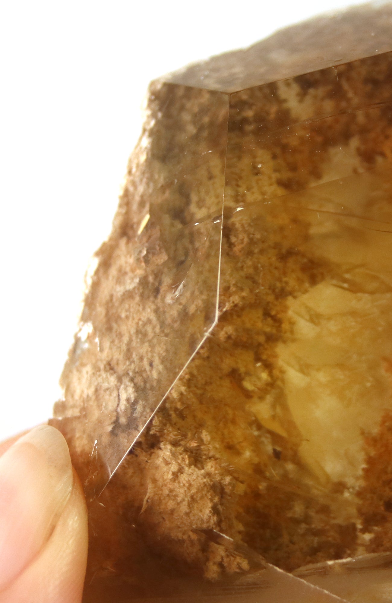 Lodalite Quartz Freeform Generator